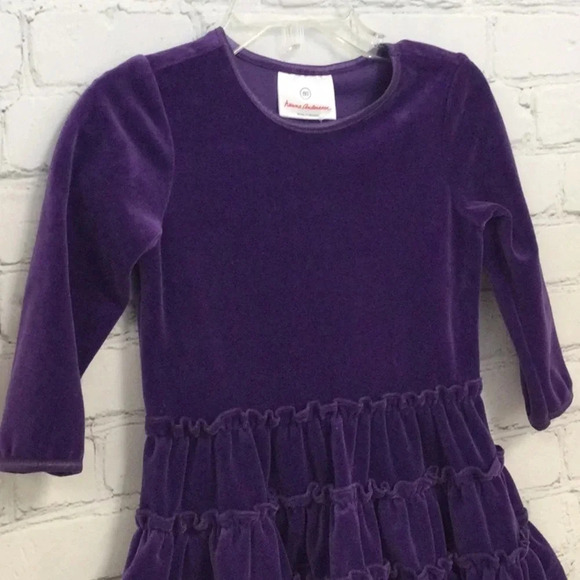 Hanna Andersson 2T Purple Ruffle Velvet Dress - Picture 2 of 6